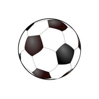 Soccer Balls Manufacturers in Delhi