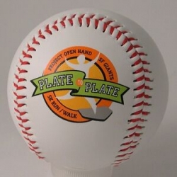 Manufacturer Custom Baseball  in punjab