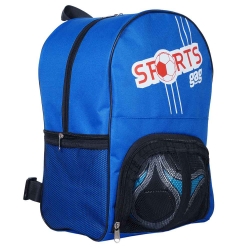 Sports Ball Bags 