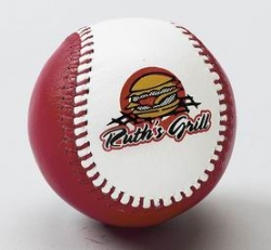 printed baseball  in punjab